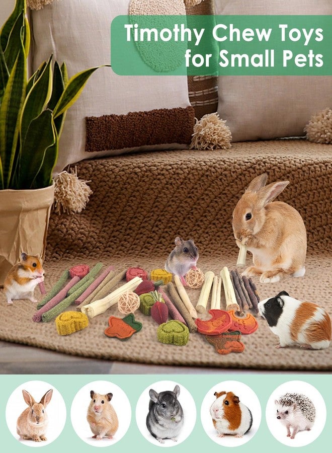 ERKOON 33PCS Bunny Chew Toys for Rabbits Teeth, Natural Rabbit Toys Apple Wood Sticks, Carrot, Timothy Grass Treats for Small Pets, Hamster, Chinchilla, Guinea Pig Dental Care and Treat Teething Toys - Image 4